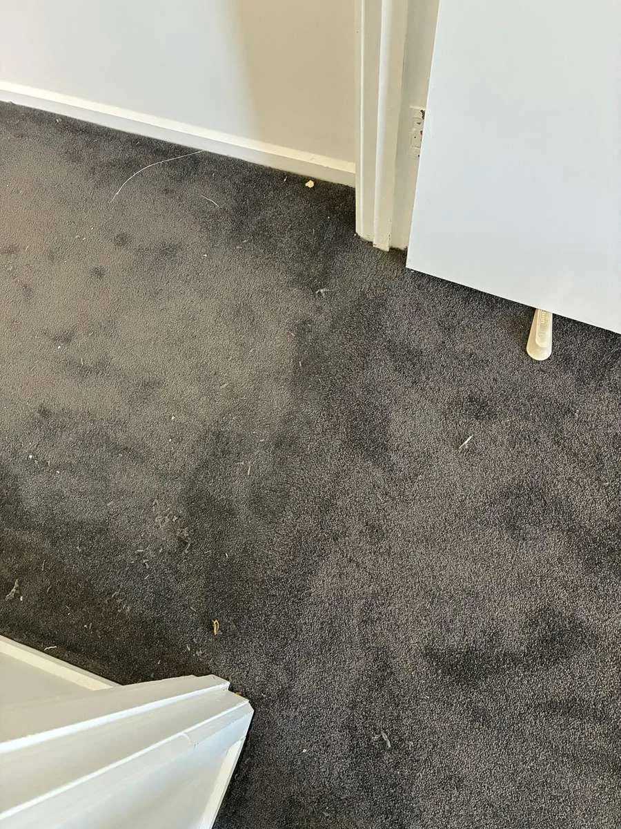 Doorway carpet patch