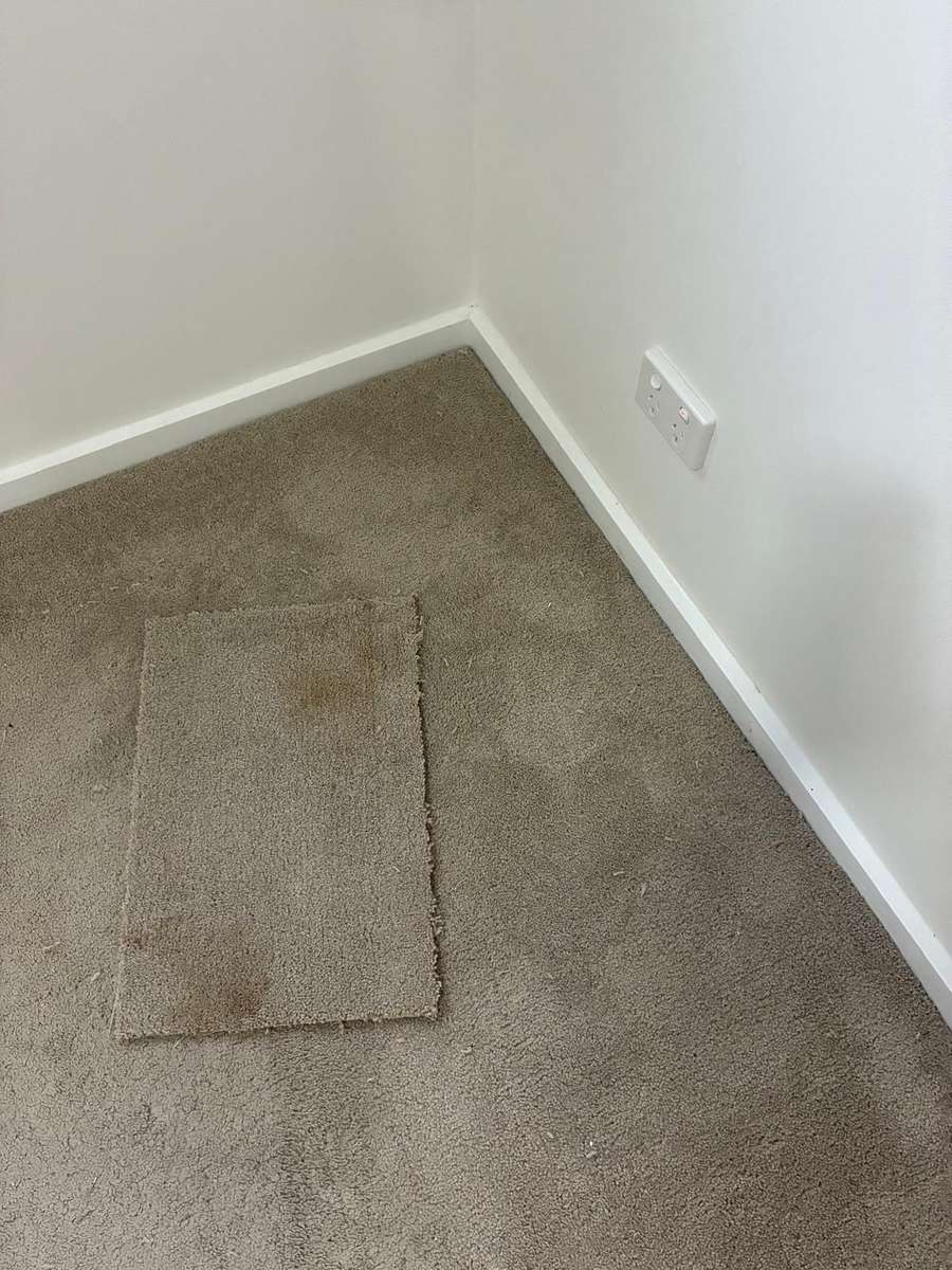 Seamless carpet patch