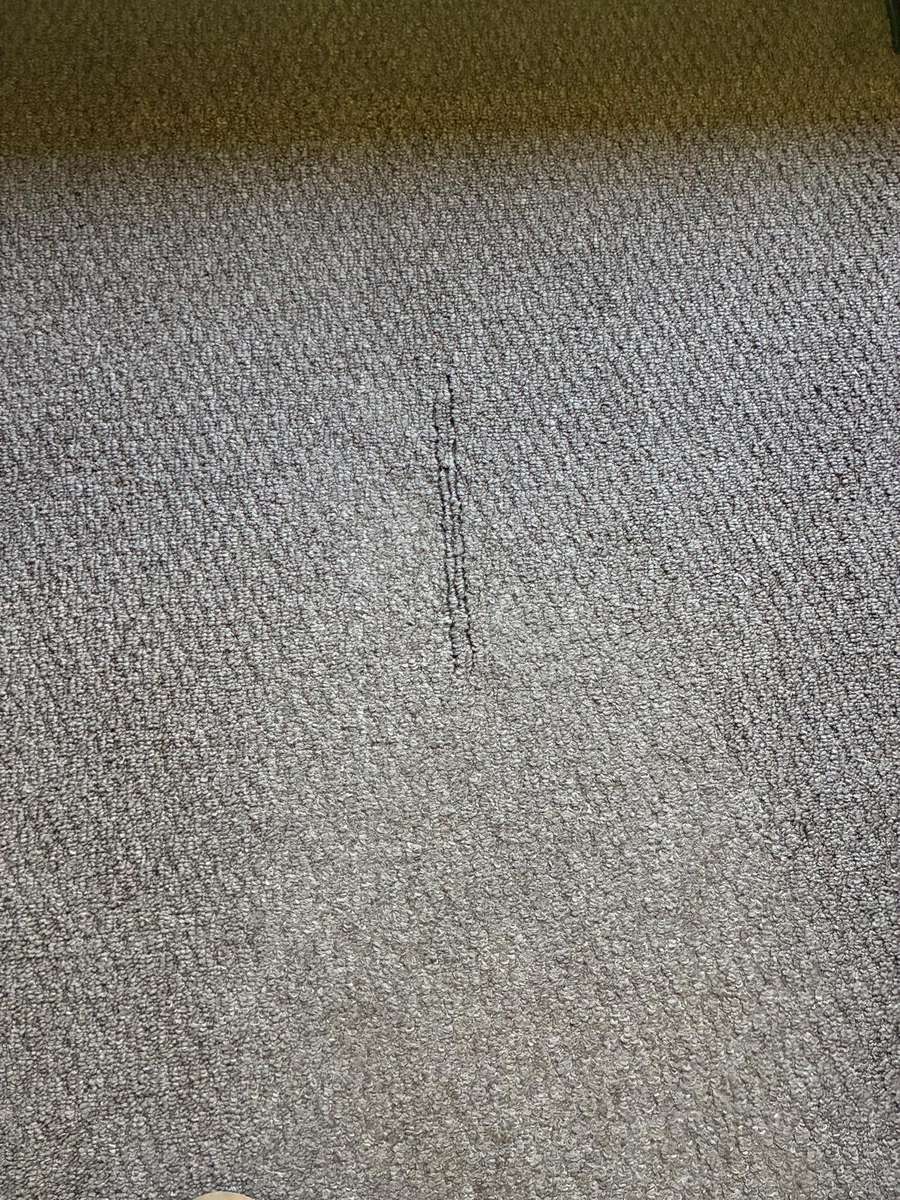Before — Carpet Wrinkle Fix