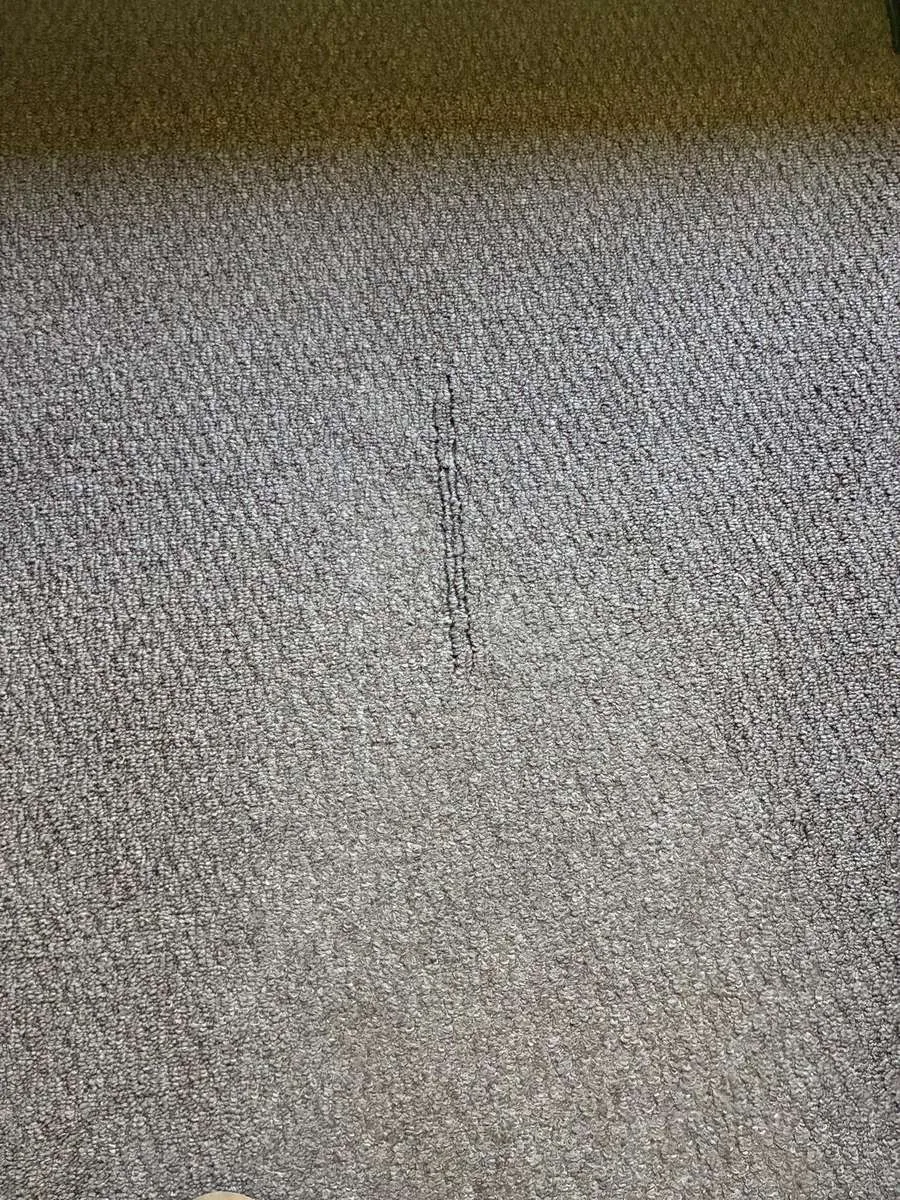 Before — Carpet Wrinkle Fix