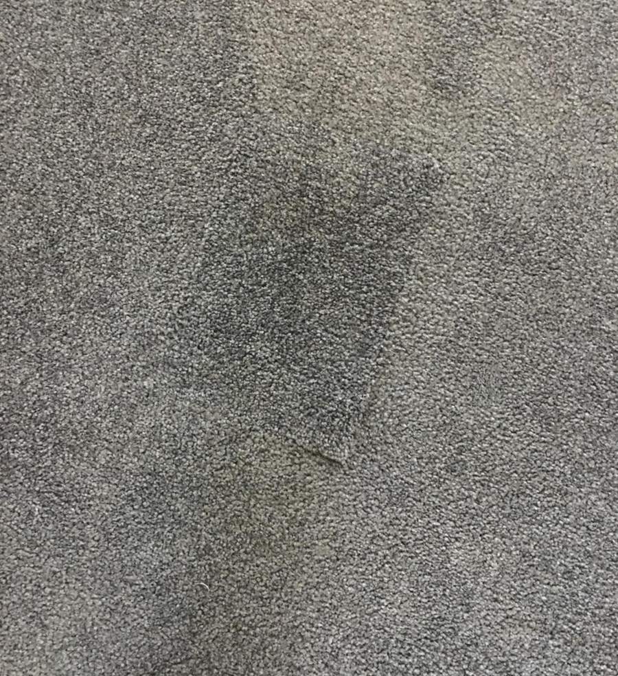 Before: Full Carpet Repair