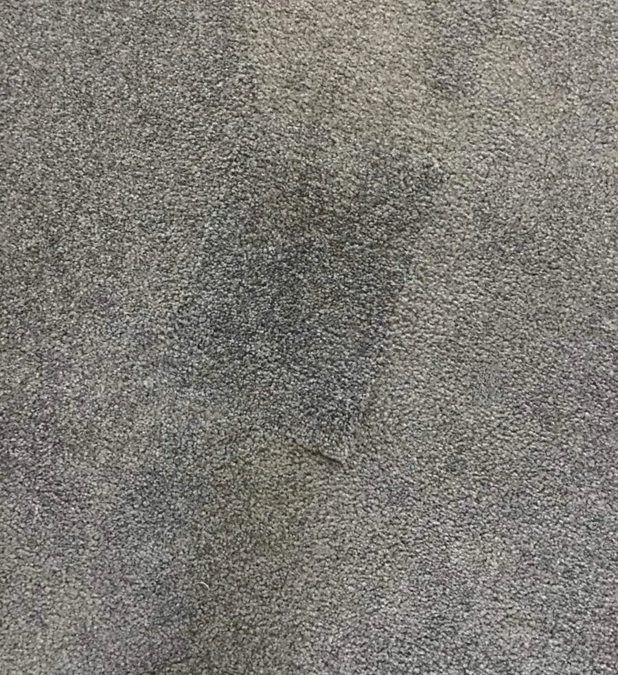 Before: Full Carpet Repair